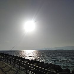 粘って、粘って