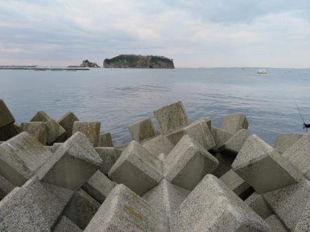 この時期のメバルはグッドサイズ！