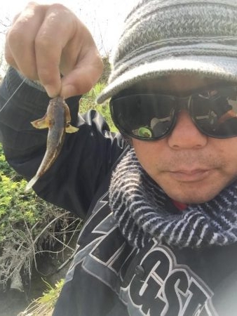 多摩川で沼チチブが沢山釣れました。