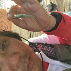 等々力緑地の管理釣り場でヘラブナ釣り。