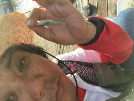 等々力緑地の管理釣り場でヘラブナ釣り。