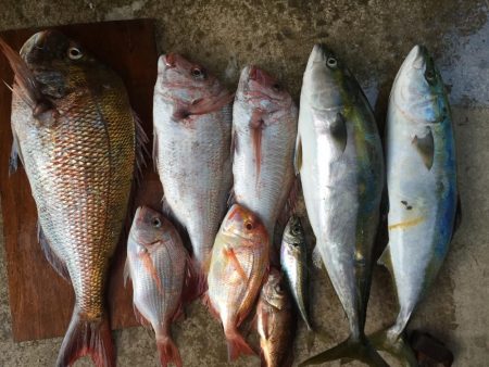 水温も上がってきて活性高まる。