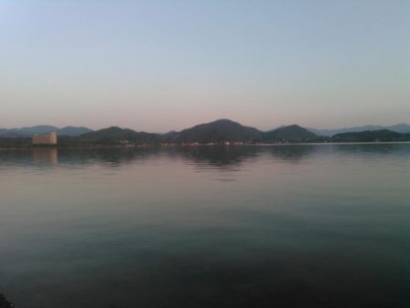 マゴチは裏切らない。