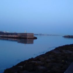 タケノコ狩り♪