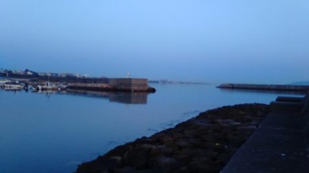 タケノコ狩り♪