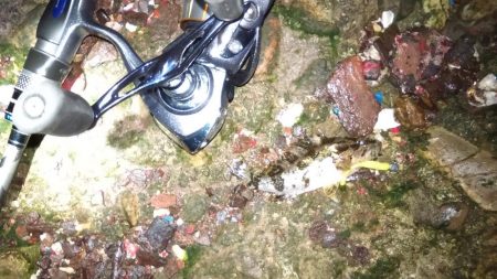 パイセン接待メバリング当日やのに！？