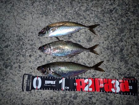 爆風 湾奧ジャンボ！