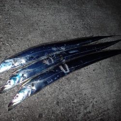 FLAP釣法でメーターちょい超え♪