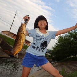 コメ式 パン鯉ゲーム