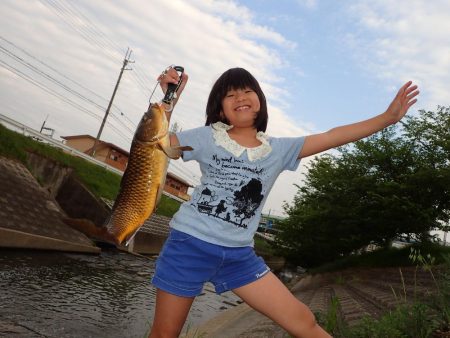 コメ式 パン鯉ゲーム