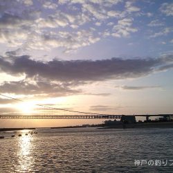 小磯でウキフカセ