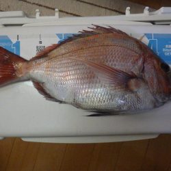 マイカヤック タイラバ