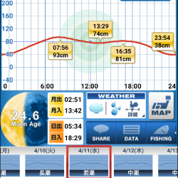 ムラソイを探して