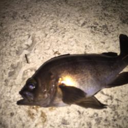 さー！連休だー！