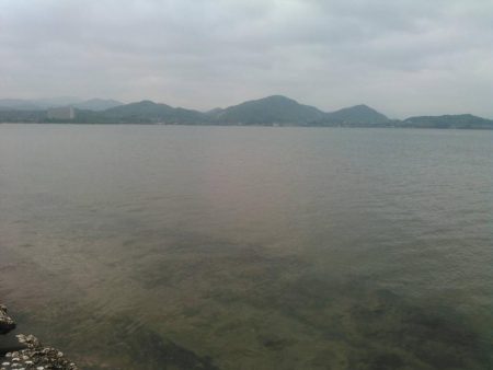 ふらっとふぃっしゅ