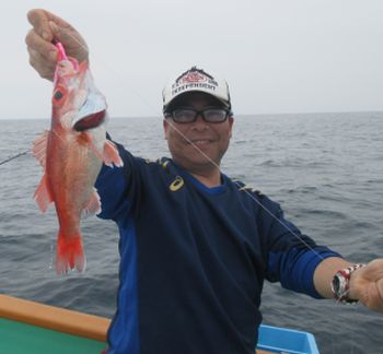 アコウとタイ釣り