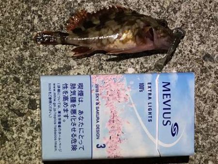 フロート何もこず