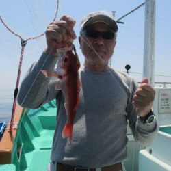 土佐安芸のハマちゃん　