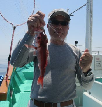 土佐安芸のハマちゃん　