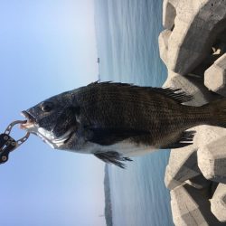 乗っ込みチヌフカセ