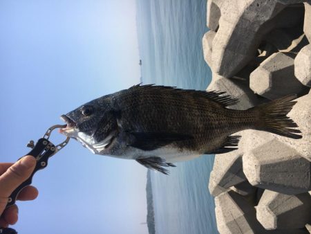 乗っ込みチヌフカセ