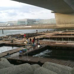 ハプニングが・・・