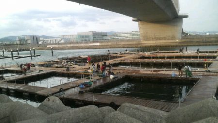 ハプニングが・・・