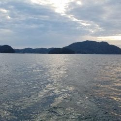 今日はイマイチ