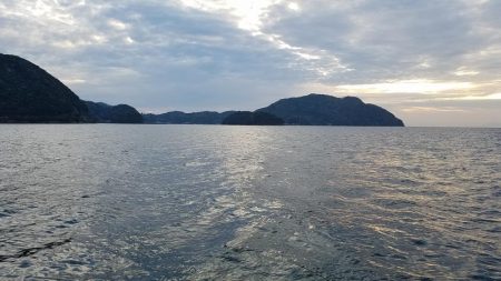 今日はイマイチ