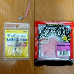 メバリング練習