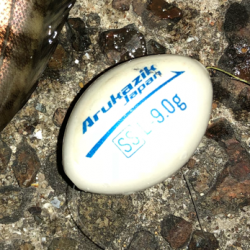 ボイルはあるが、、、