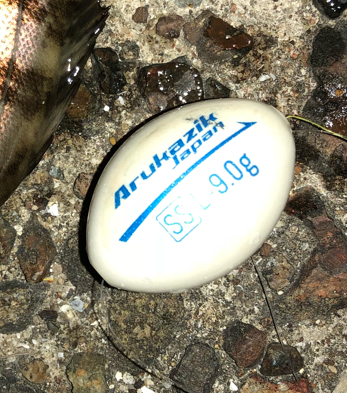 ボイルはあるが、、、