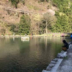 千早川マス釣場 嵐でも好調