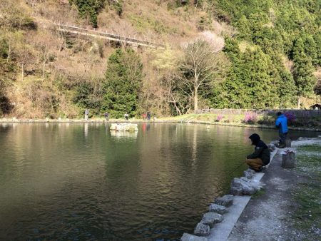 千早川マス釣場 嵐でも好調