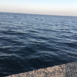 超ライトゲーム