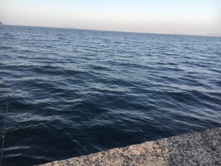 超ライトゲーム