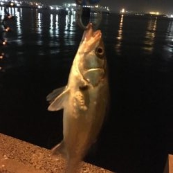 24日午前０時1回目 20時から2回目