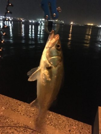 24日午前０時1回目 20時から2回目