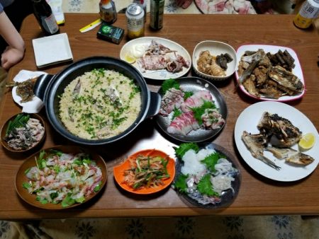 鯛のノッコミ始まってます。