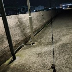 快適な釣りでした❗