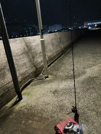 快適な釣りでした❗