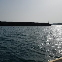 五目釣り　～色んな魚が釣れればと～