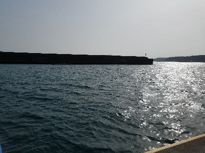 五目釣り　～色んな魚が釣れればと～