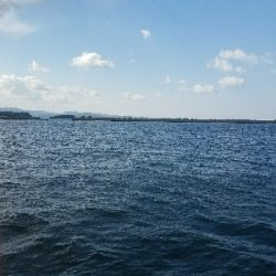 ガシラ釣り　～ネチネチ探る！～