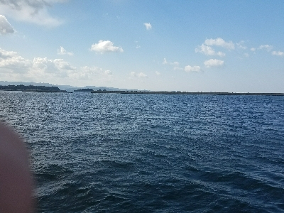 ガシラ釣り　～ネチネチ探る！～