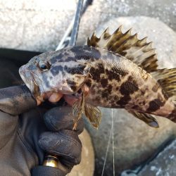 爆風のなか無理矢理風裏に行きメバリング