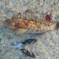 食品コンビナートにて