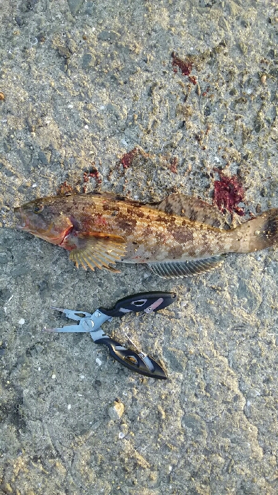 食品コンビナートにて