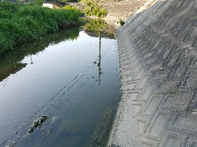 淡水小物釣り　～濁りが効いてイイ♪～