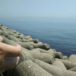 穴釣りでガシラ